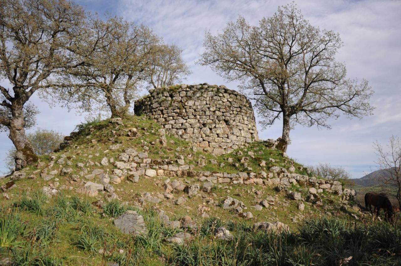 شقة L Agrifoglio Di Rita Loddo فوني المظهر الخارجي الصورة